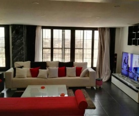 Luxurious & Large Modern Penthouse